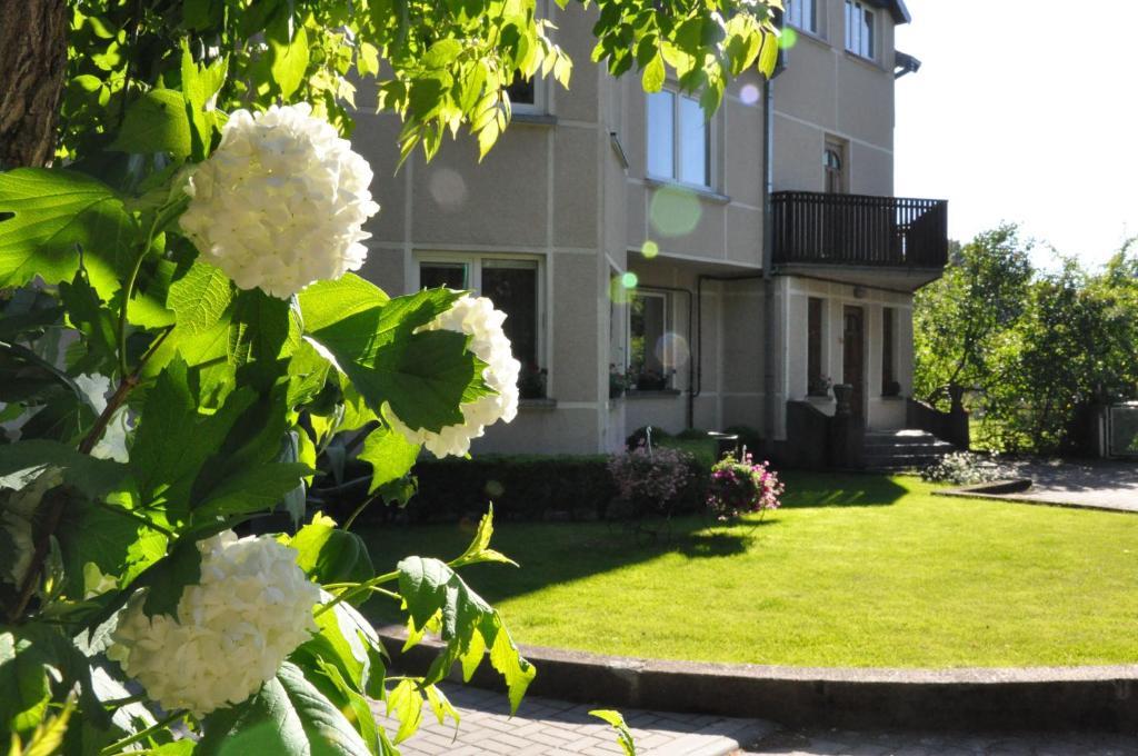 Elena Hotel Паланга Екстериор снимка